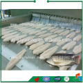 Tunnel type Blast Freezer Dumpling Freezing Machine